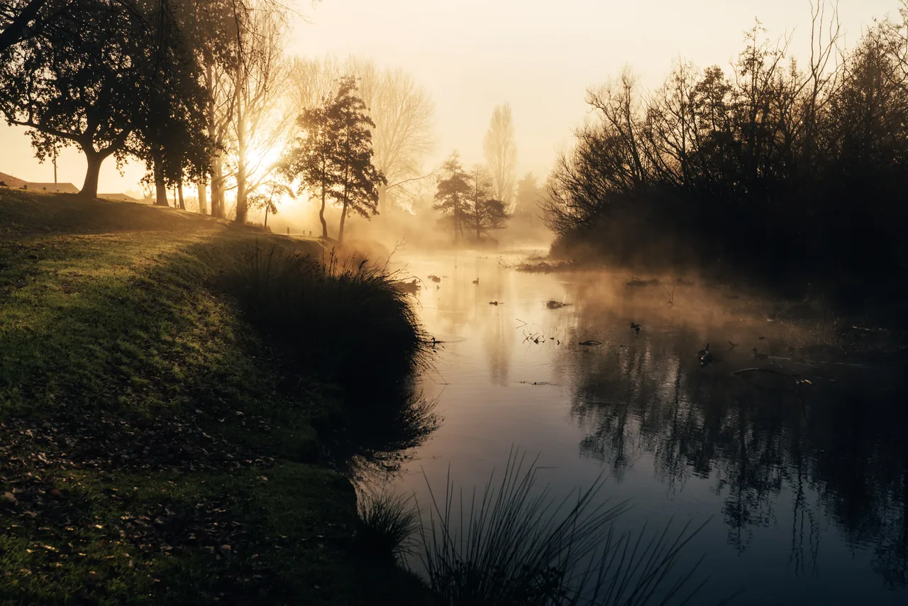 The Ōtākaro Avon at first light